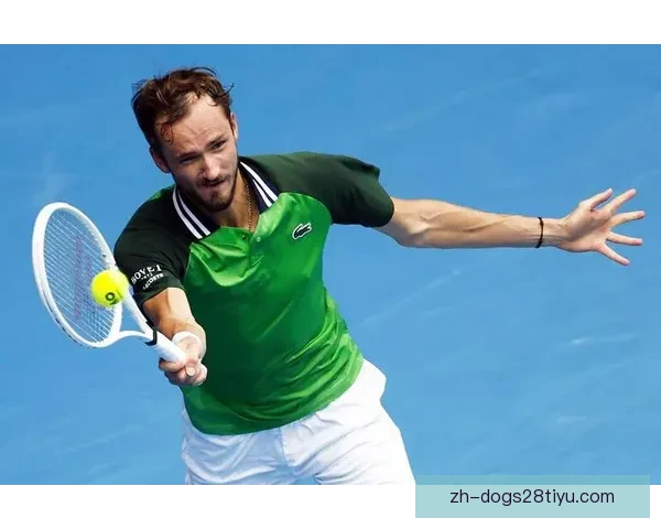 梅德韦杰夫逆转暖冲击澳网首冠