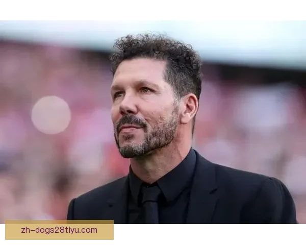 西蒙尼阿莱马尼引援分歧为零