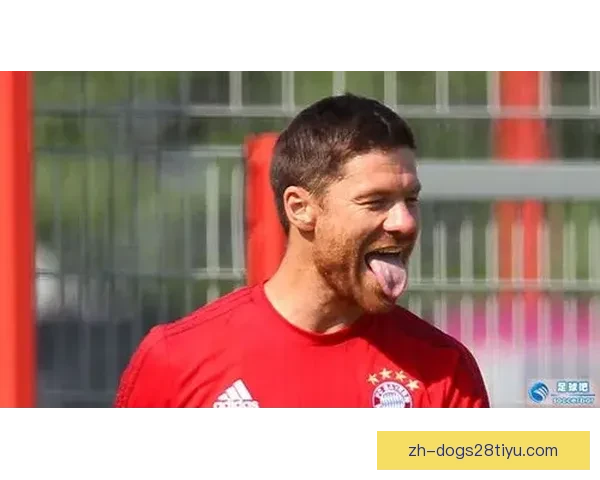 小麦直言足球判罚过于心软现状