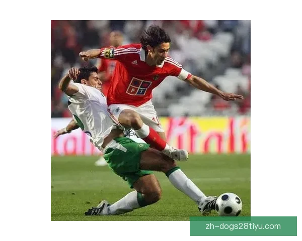 本菲卡辟谣科斯塔冲突传闻说法